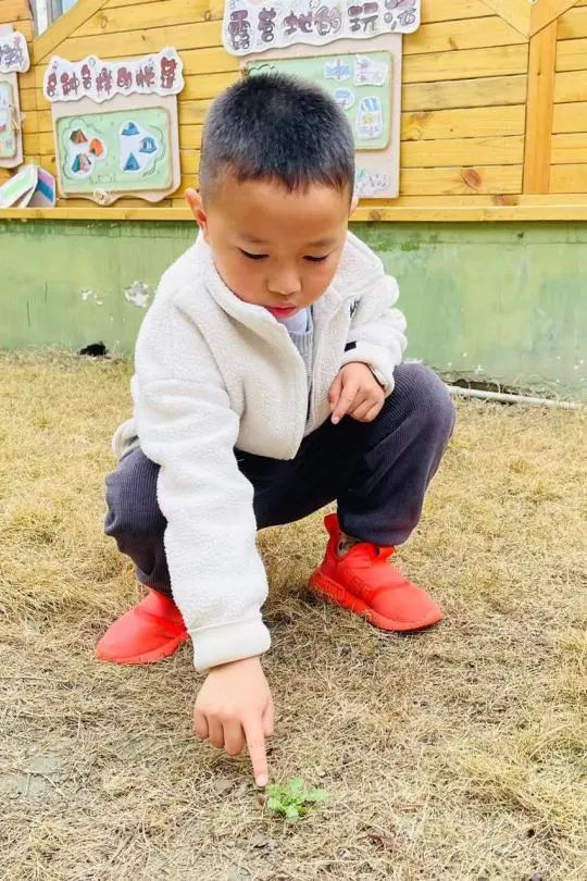 微信图片_20230321092006
