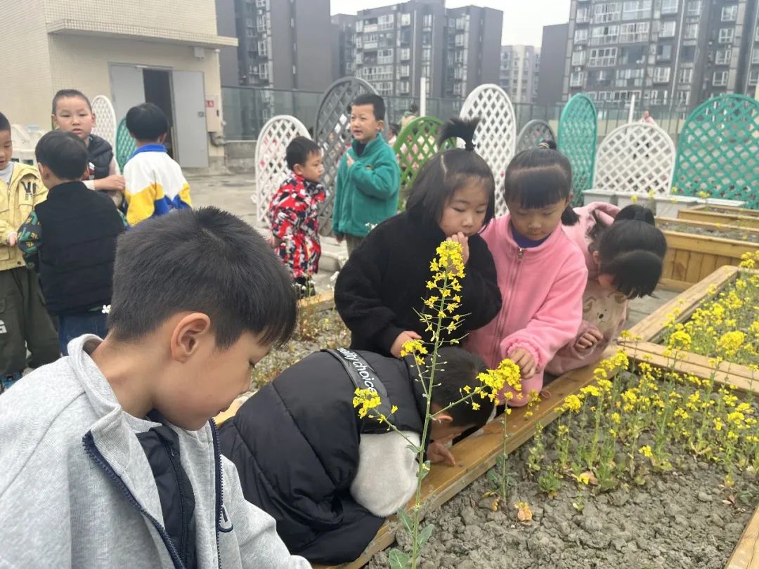 微信图片_20230322153546