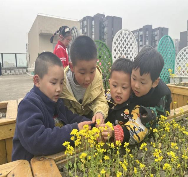 微信图片_20230322153544