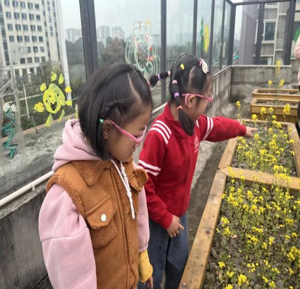 微信图片_20230322153541