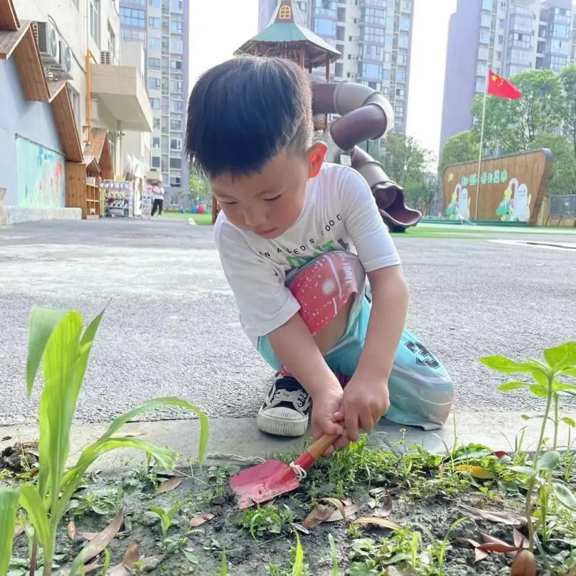 微信图片_20230424201826