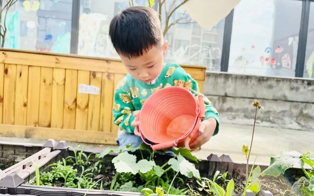 微信图片_20230424201837